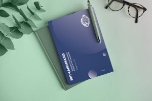 Самоаналіз Донецького державного унівеситету управління